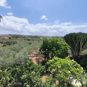 https://bnb-laraucaria.palermohotels.org